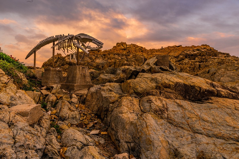 威尼斯人娱乐场线上平台