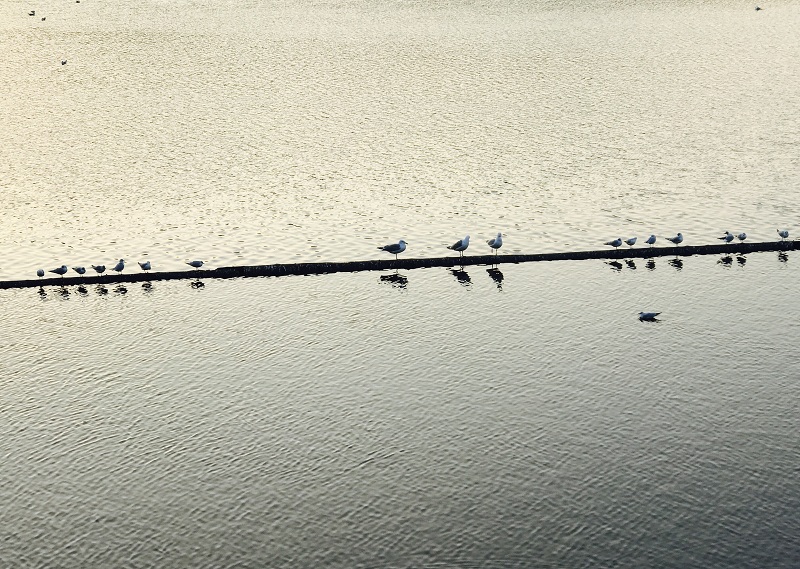 威尼斯人娱乐场线上平台