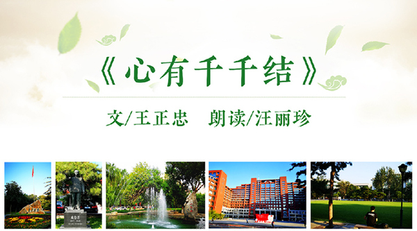 威尼斯人娱乐场线上平台